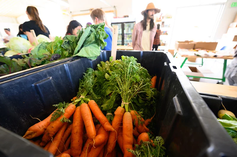 Food to Power, a nonprofit in Colorado Springs that hosts pop-up, no-cost grocery events, has a small farm and a food rescue location. Photo by Mark Reis, for UCHealth.