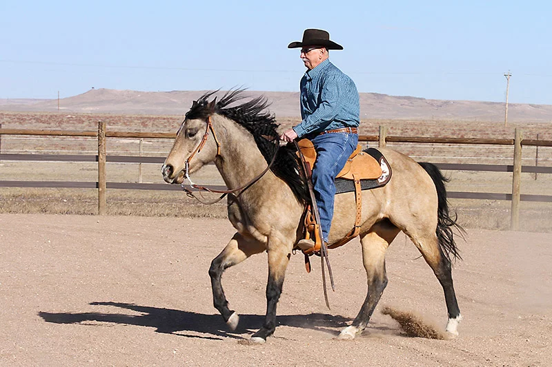Bob’s COPD made it hard to breathe, keeping him from what he loved most — riding and competing with his horse, Marley, in ranch events. After endobronchial valve therapy (EBV), Bob is back in the saddle, enjoying time with Marley. Photo by Joel Blocker, for UCHealth.