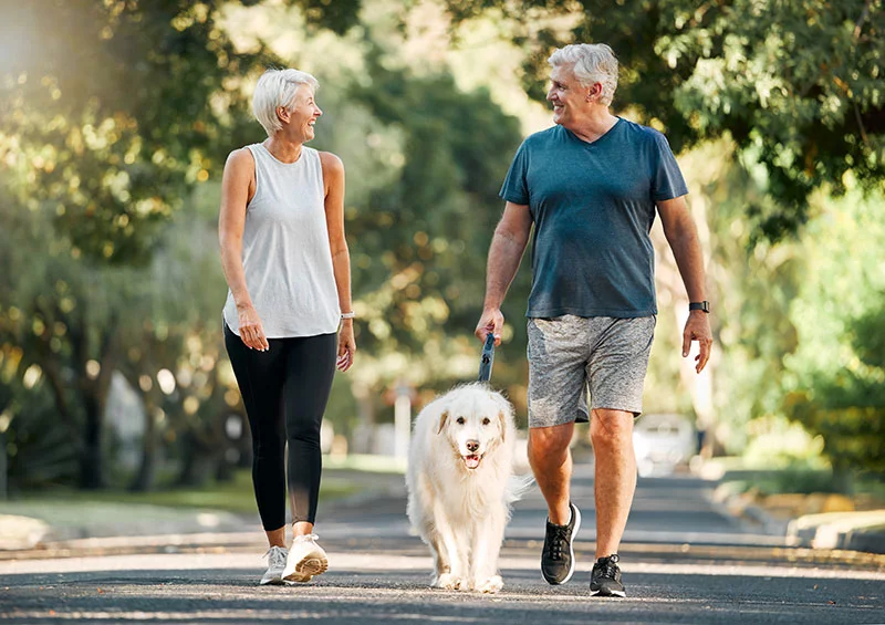Two people walking their dog. Regular physical activity is recognized as an important part of preventing and managing chronic disease. Even moderate movement done consistently can support overall health. Photo: Getty Images.
