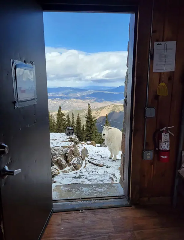 El Mestaa’ėhehe (pronunciado mess-taw-HAY) Mountain Fire Lookout sigue siendo un sitio activo de torre de comunicación a más de 11,000 pies de elevación en el condado de Clear Creek. Es uno que se puede reservar para acampar durante la noche. Foto cortesía del Servicio Forestal de EE.UU.