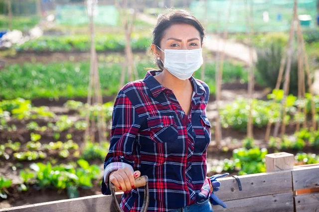 El hantavirus es poco común, pero puede ser peligroso y mortal. Es fundamental tomar precauciones — como usar una mascarilla — si se limpian áreas como graneros, cobertizos y garajes, donde los roedores infectados con hantavirus pueden dejar excrementos. Foto: Getty Images.