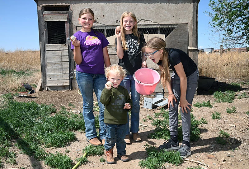 Tending to the chickens and gathering eggs is one of many chores on the farm for Sadie (left), Kynlee, Hadlee. Raeden, center, helps, too. Photo by Sonya Doctorian.