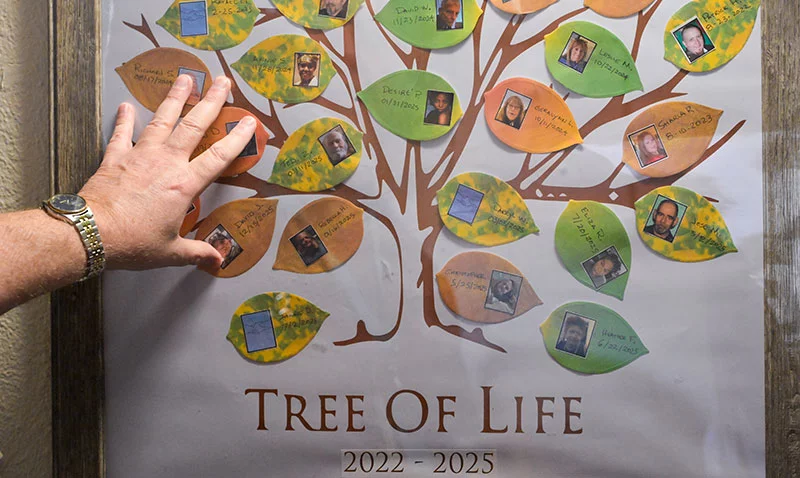 Hall points out former Rocky Mountain Refuge patients on the “Tree of Life.” Photo by Cyrus McCrimmon for UCHealth.