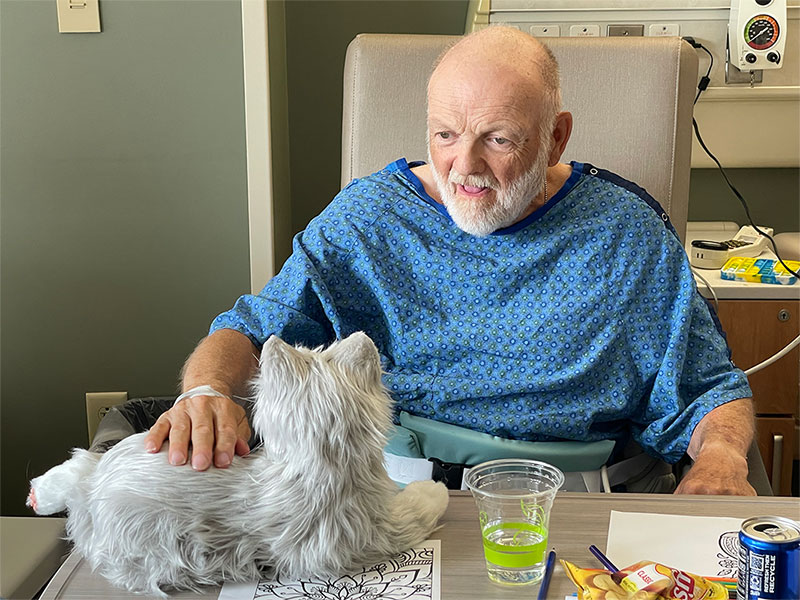 Robotic companion pets are a hit with dementia patients