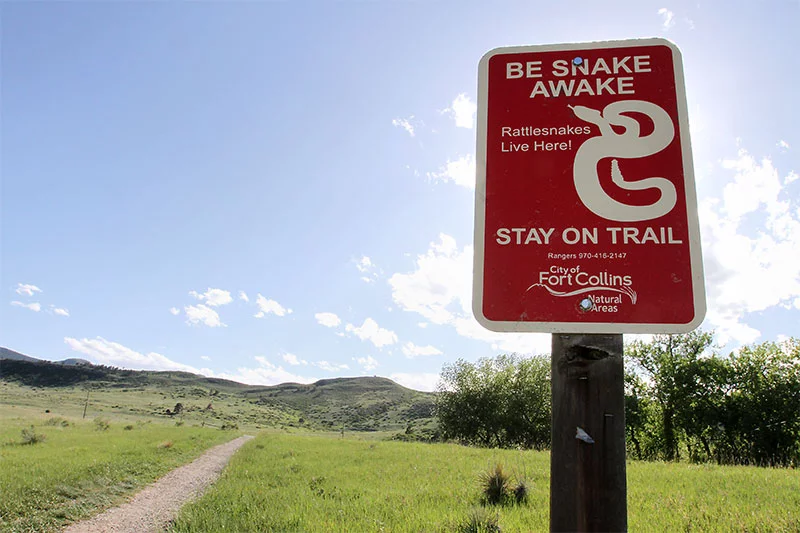 Signs posted along popular foothills trails near Fort Collins and Horsetooth Reservoir warn hikers they are entering rattlesnake habitat in northern Colorado. Snakes like the same sunny terrain that is populal with people. Photo by Joel Blocker, for UCHealth.