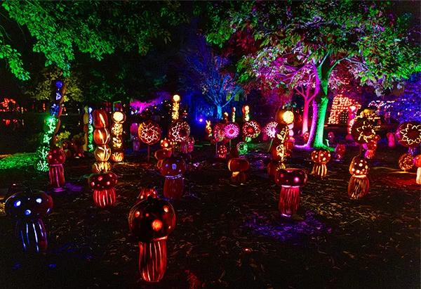 The Magic of the Jack O’Lanterns returns to The Hudson Gardens this fall. Photo courtesy of Thirteenth Floor Entertainment Group.