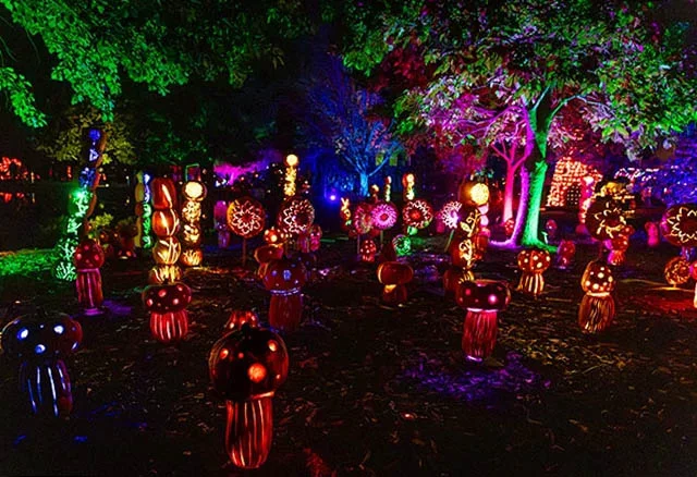 The Magic of the Jack O’Lanterns regresa a The Hudson Gardens este otoño. Foto cortesía de Thirteenth Floor Entertainment Group.