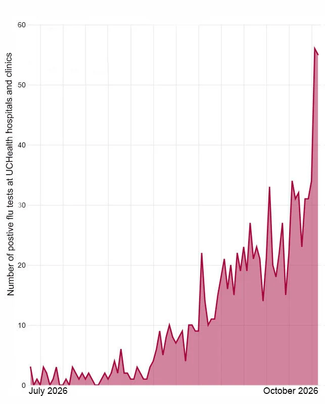 This graph shows the dramatic increase in positive flu tests at UCHealth hospitals and clinics between late July and mid-October in 2026. Source: UCHealth.